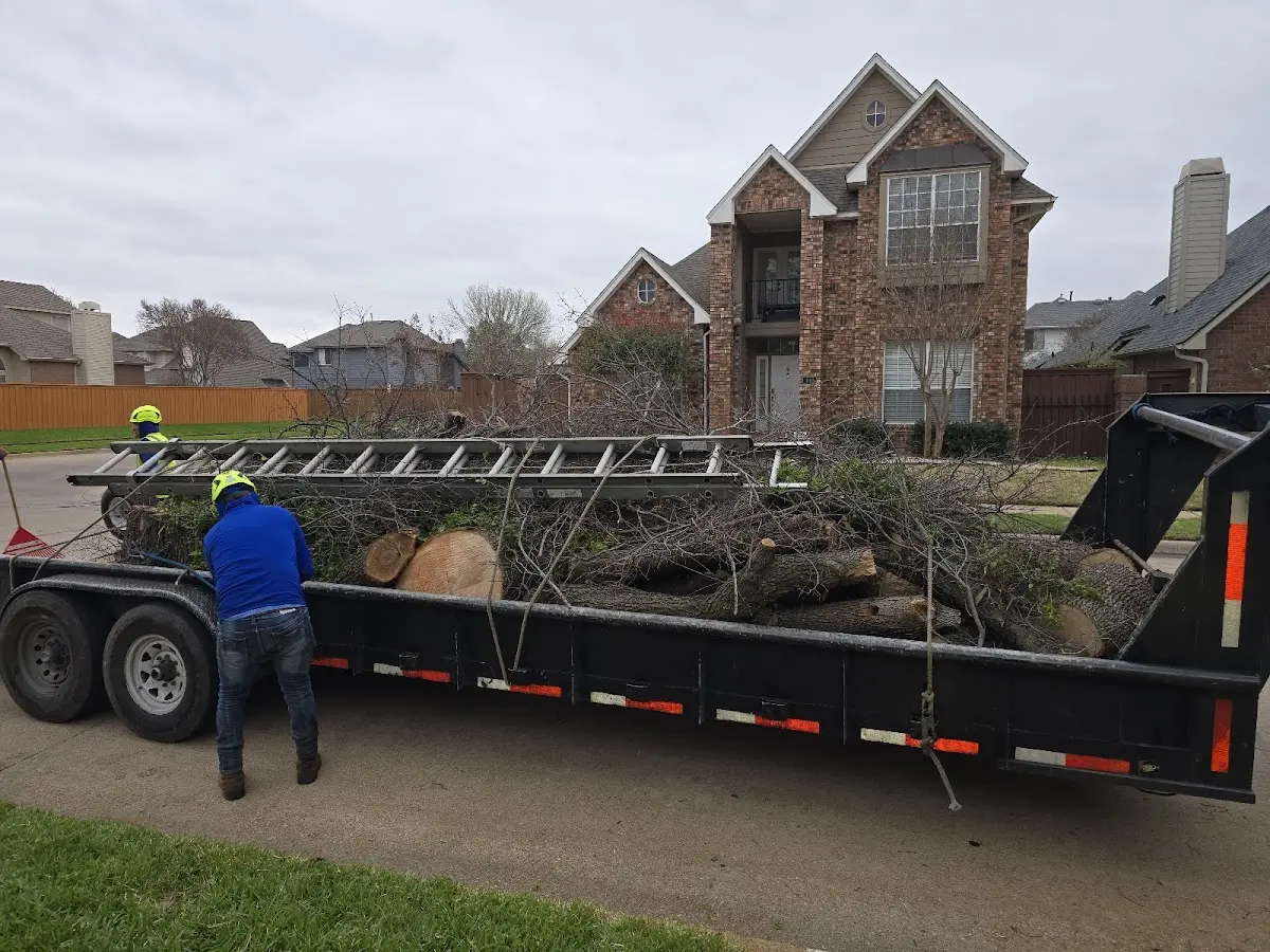 Expert Crown Reduction with proper safety equipment in Arenzville
